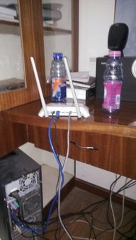 排查电脑无法拨号问题 从网线接口到系统设置的完整指南